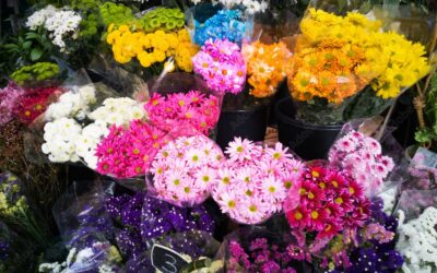 Mañana jueves inicia sus actividades el I Mercado de las flores en el Paseo de Roma