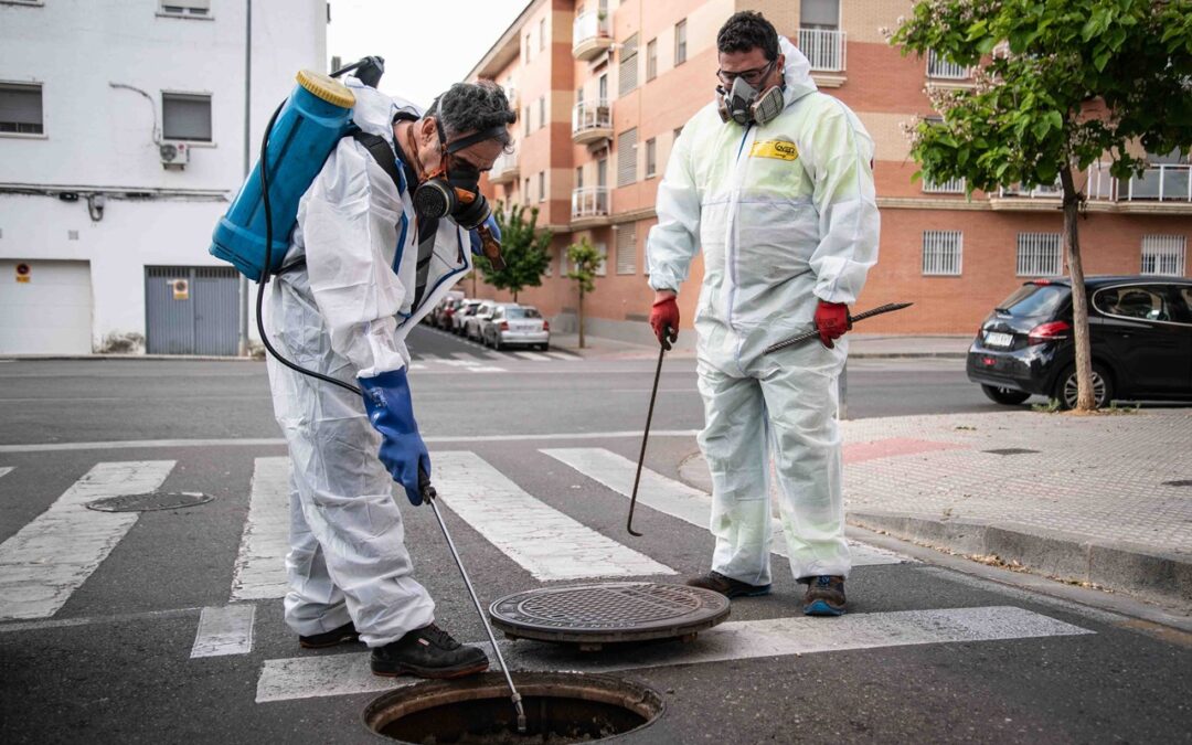 El Ayuntamiento está realizando la campaña preventiva general de desratización y desinsectación en todas las zonas de la ciudad