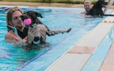 La Piscina del Complejo Polideportivo Guadiana acoge el próximo 1 de septiembre la VII edición de “Patas al agua”