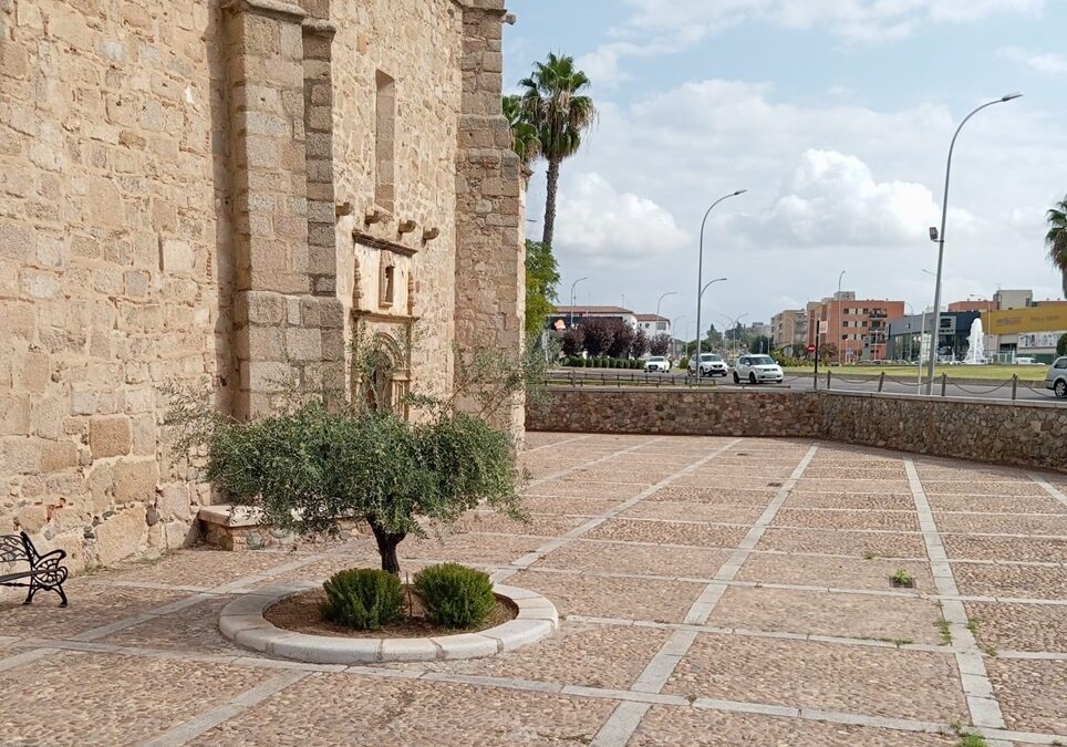 El Ayuntamiento realiza actuaciones de limpieza y eliminación de especies arbustivas en la ermita de La Antigua