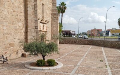 El Ayuntamiento realiza actuaciones de limpieza y eliminación de especies arbustivas en la ermita de La Antigua