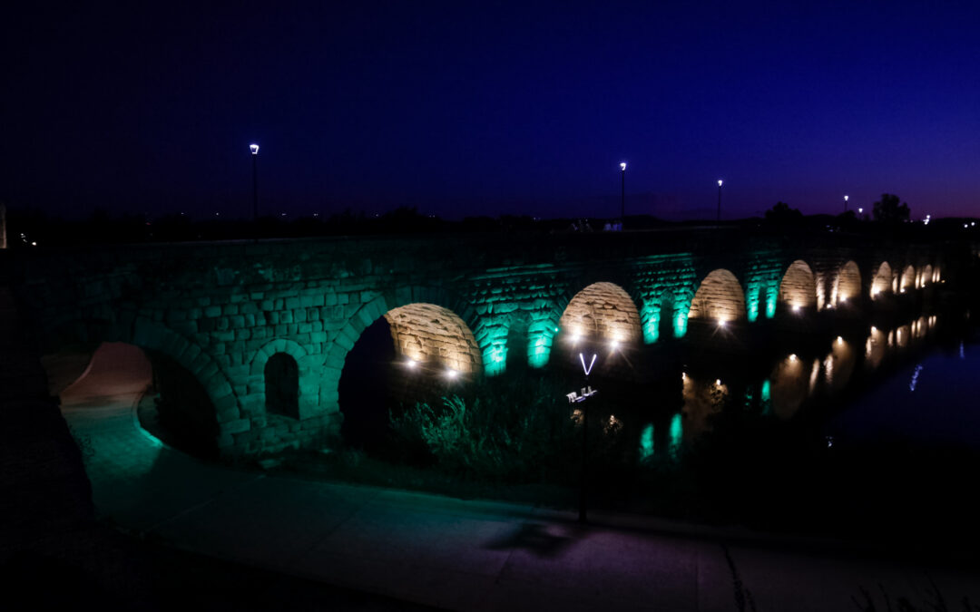 La fachada del Ayuntamiento, la fuente de la Plaza y algunos monumentos se iluminan mañana en color verde por el Día Mundial de la lucha contra ELA