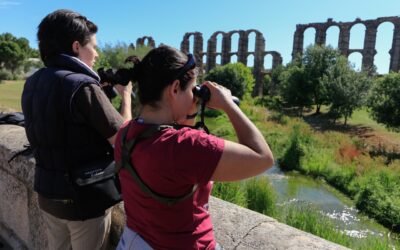 Adjudicado el contrato para la creación y organización de diferentes experiencias turísticas aunando naturaleza y patrimonio