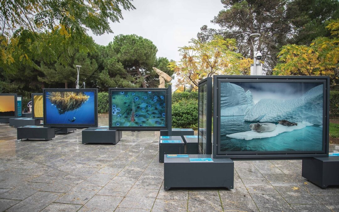 Mérida descubre el significado del color en el mundo en una exposición de fotografías de National Geographic en la Plaza de Margarita Xirgú