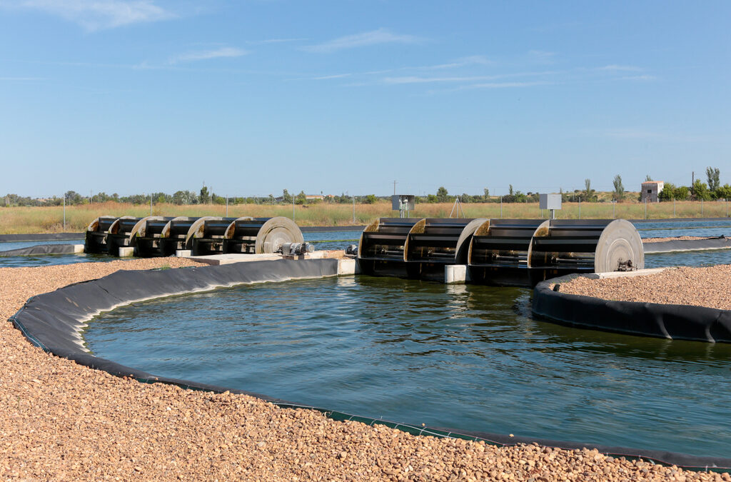 El Ayuntamiento va a adquirir un nuevo sistema de potabilización para la Estación de Tratamiento de Agua Potable por un importe de 750.000 euros