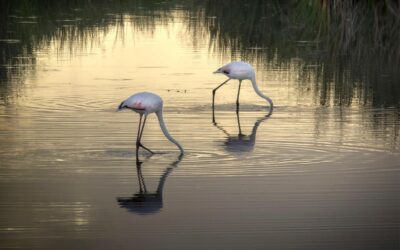 ‘Paisajes casuales’, 44 fotografías de Ángel Felicísimo en una exposición en el Centro Cultural Alcazaba