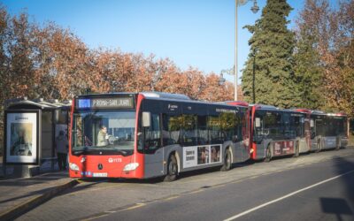 El Ayuntamiento asumirá la bonificación del 100% de los bonos de transporte urbano de Mérida tras el rechazo ayer en el Congreso de PP, VOX y Junts a la subvención del transporte público