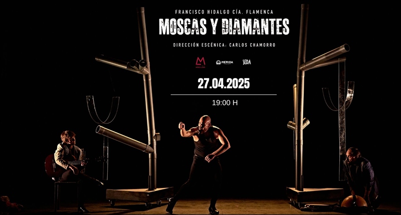 2025-moscas-diamantes-peq