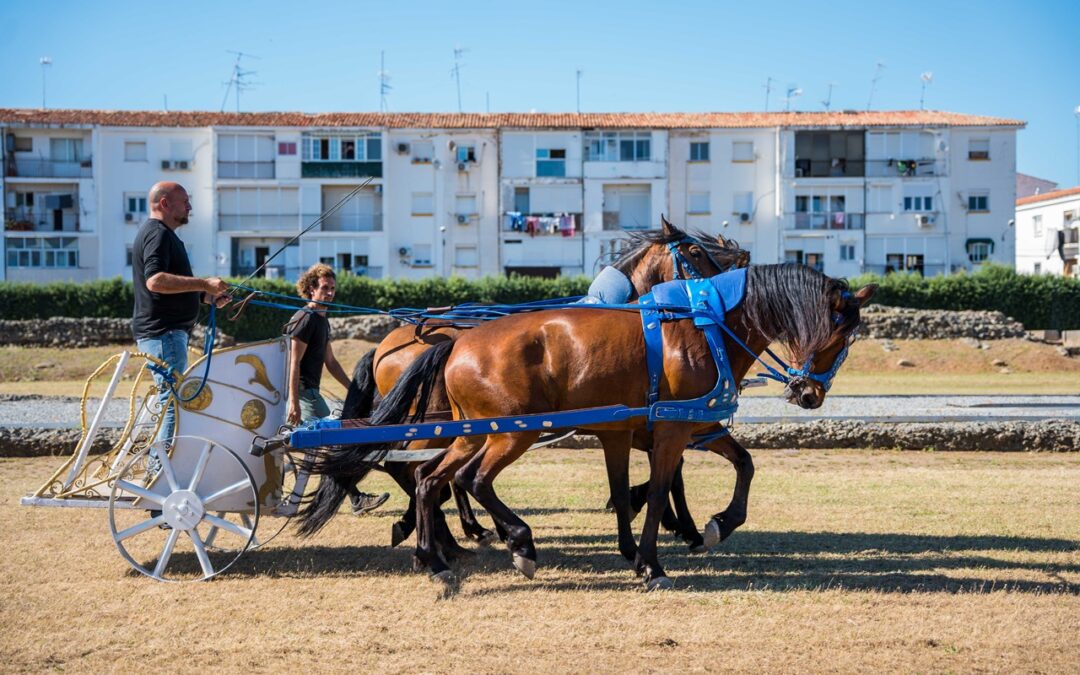 Las cuadrigas ya están realizando los entrenamientos en el Circo Romano para la celebración, mañana, del “Gran Circus Maximus”, la primera representación de una carrera de cuadrigas con ambientación histórica