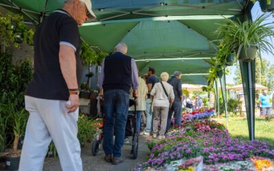 El Ayuntamiento destaca la gran acogida y el numeroso público en la segunda edición del Mercado de las Flores