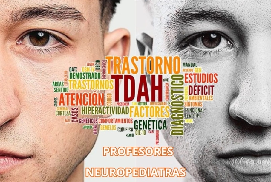 El influencer Daniel Antoñanzas, la neuropsicóloga Carmen Ávila y la profesora Maribel Mancera, participan, este sábado, en una jornada sobre el TDAH dirigida a familias