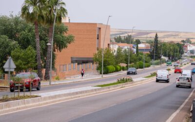 El Ayuntamiento finaliza las mejoras en la mediana de la avenida Reina Sofía