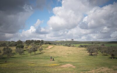Publicado en el DOE el anuncio sobre la aprobación inicial del Plan Parcial del Sector de Suelo Urbanizable “Nuevo Don Tello”, que contará con el campo de Golf de 18 hoyos más innovador y sostenible de Europa