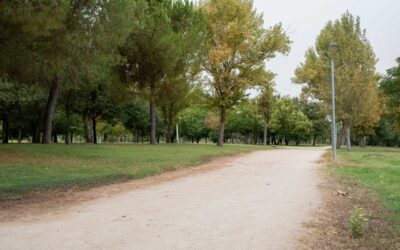 El Ayuntamiento implementa un plan de mejoras en los riegos de las zonas verdes de la ciudad