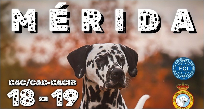 2025-emerita-winner-peq