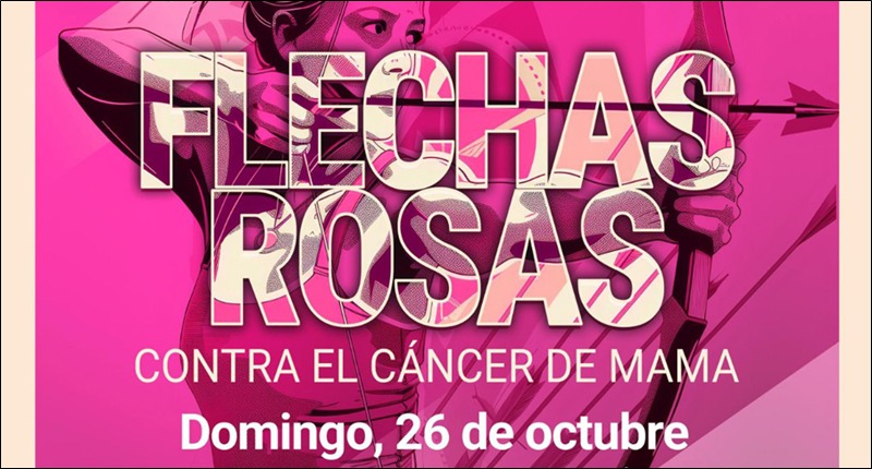 2025-flechas-rosas-peq