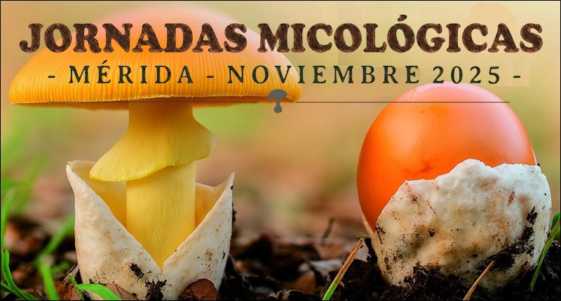 2025-jornadas-micologicas-peq