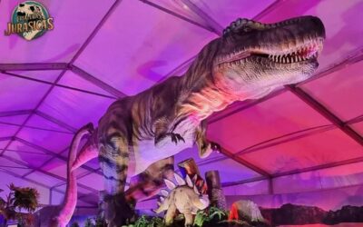 IFEME acoge este fin de semana la exposición “Criaturas Jurásicas” compuesta por una gran colección de 40 dinosaurios, además de zonas didácticas y experiencias de realidad virtual