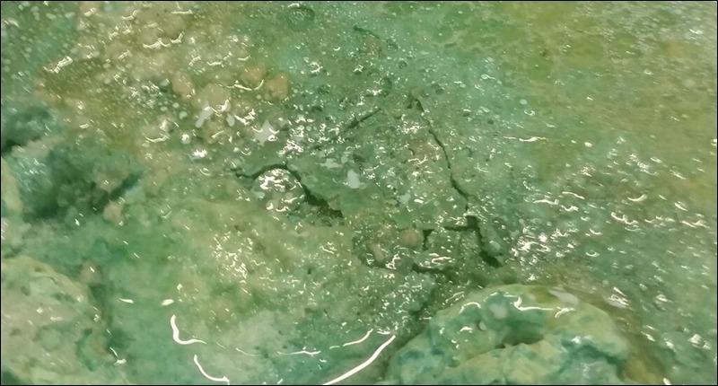 eposicion-tierra-desde-lejos-peq