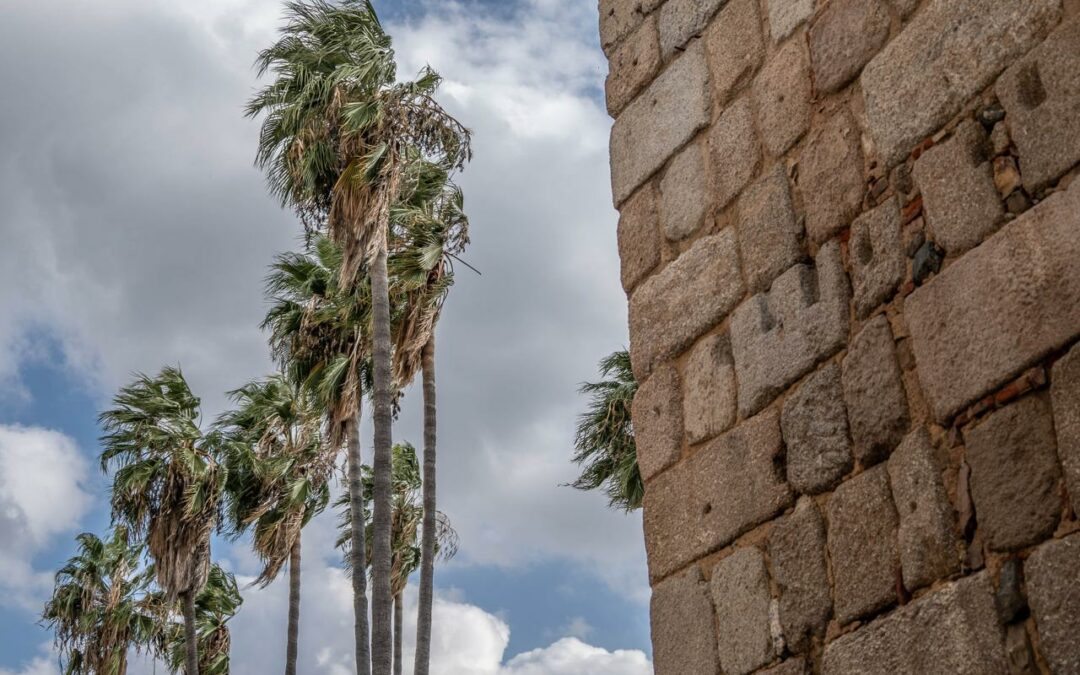 El Ayuntamiento cierra instalaciones deportivas exteriores y la Ciudad de la Infancia por la alerta de fuertes vientos