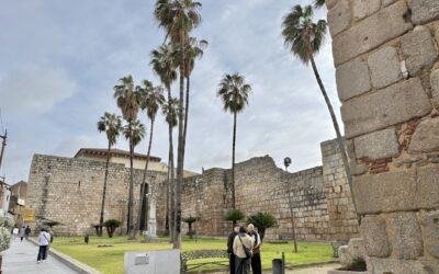 La Policía Local atiende 256 llamadas e incidentes ocasionados por el temporal