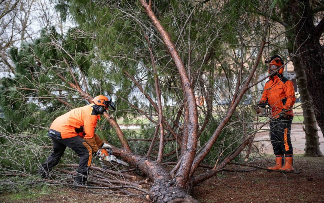 El Ayuntamiento activa una oficina de atención por incidencias del temporal desde la Jefatura de Policía Local
