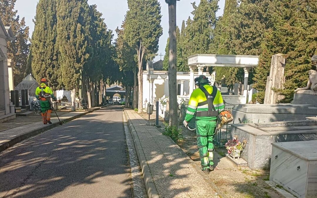 El Ayuntamiento realiza labores de limpieza integral en el Cementerio dentro de su Plan Especial de Actuación por los daños del temporal