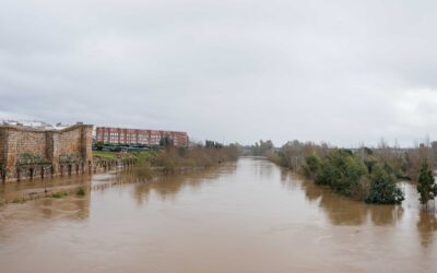 Mérida solicitará al Gobierno la declaración de Zona Catastrófica para hacer frente a los graves daños ocasionados por el temporal