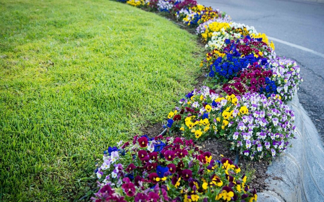 3.400 nuevas flores para el inicio de la primavera y la Semana Santa