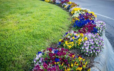 3.400 nuevas flores para el inicio de la primavera y la Semana Santa