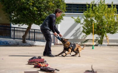 La Asociación Vecinal Centro-San Albín acoge una exhibición de la Unidad Canina de la Policía Local este sábado en la Plaza de Pizarro