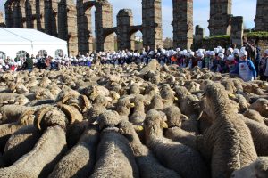 Mérida homenajea a los pastores trashumantes el año de la Capitalidad Iberoamericana de la Cultura Gastronómica