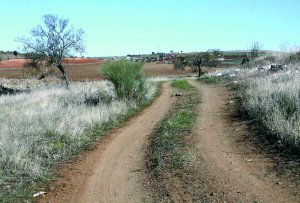 Se reinicia el procedimiento para elaborar el catálogo de caminos públicos del término de Mérida