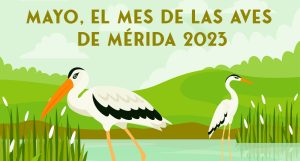1.496 escolares de Educación Primaria participarán, durante el mes de mayo, en las actividades del “Mes de las Aves”