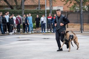 La Asociación Vecinal Centro- San Albín organiza una gran exhibición canina con los perros de la Policía Local de Mérida y el Centro Canino ‘El Criador’ de Cáceres