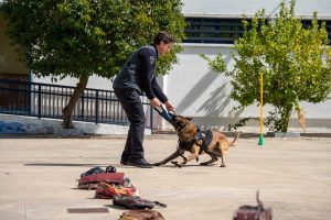 La Asociación Vecinal Centro-San Albín acoge una exhibición de la Unidad Canina de la Policía Local este sábado en la Plaza de Pizarro