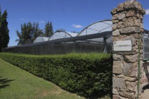 El centro ocupacional “Proserpina” recibe la autorización de entidad de servicio de Centro Ocupacional