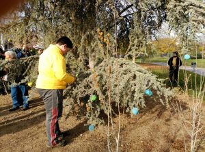 Un árbol navideño ecológico en el marco del Plan Urban