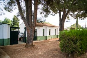El Ayuntamiento ampliará el Centro Zoosanitario para albergar catorce nuevos cheniles