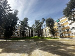 El Ayuntamiento elabora un censo de las viviendas y ultima un informe veterinario para poder intervenir ante la proliferación de palomas en la corraleta de La Antigua