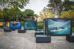 Mérida descubre el significado del color en el mundo en una exposición de fotografías de National Geographic en la Plaza de Margarita Xirgú