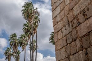 El Ayuntamiento cierra instalaciones deportivas exteriores y la Ciudad de la Infancia por la alerta de fuertes vientos