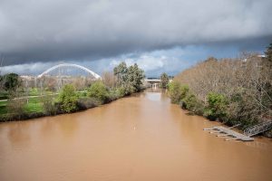 El Ayuntamiento inicia el viernes la limpieza del cauce del Guadianilla, en todo su tramo urbano, para mejorar el bienestar ambiental y el espacio público