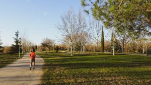 Un nuevo sistema telemático mejorará el riego de los jardines del Guadiana en las barriadas de San Antonio, Nueva Ciudad, Zona Sur y El Barrio