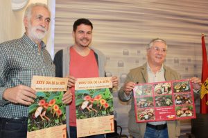 El Día de la Seta se celebra en Mérida con ponencias y actividades