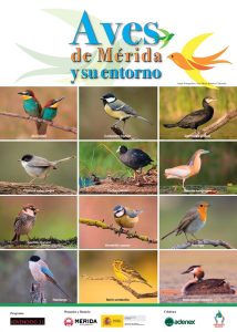 Comienzan las actividades del "Mes de las Aves" con un observatorio en el Puente Romano y un taller de ornitología
