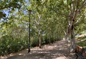 Adjudicado el contrato para sustituir las 637 luminarias de los márgenes del Guadiana, Albarregas y camino perimetral de Proserpina por tecnología Led