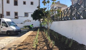 El de Mérida es de los pocos ayuntamientos que ha eliminado el glifosato como herbicida