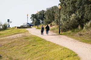 El ayuntamiento adjudica las mejoras de los jardines y caminos del Guadiana y Proserpina por 686.070 euros y un plazo de ejecución de tres meses