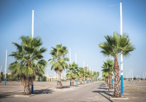 El próximo viernes finaliza el plazo para solicitar  la adjudicación de parcelas para casetas, puestos y atracciones en el recinto ferial
